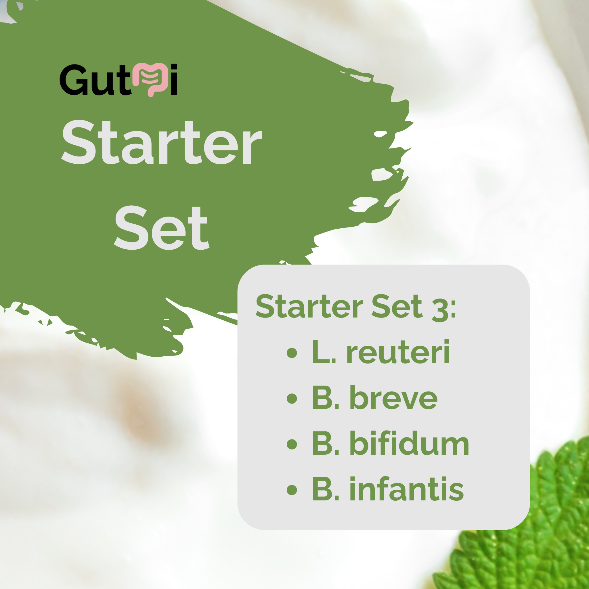 GutMi | L. reuteri + B. breve + B. bifidum + B. infantis | Yogurt Starter Set | Calm Gut | Starter Cultures | Pack of 3
