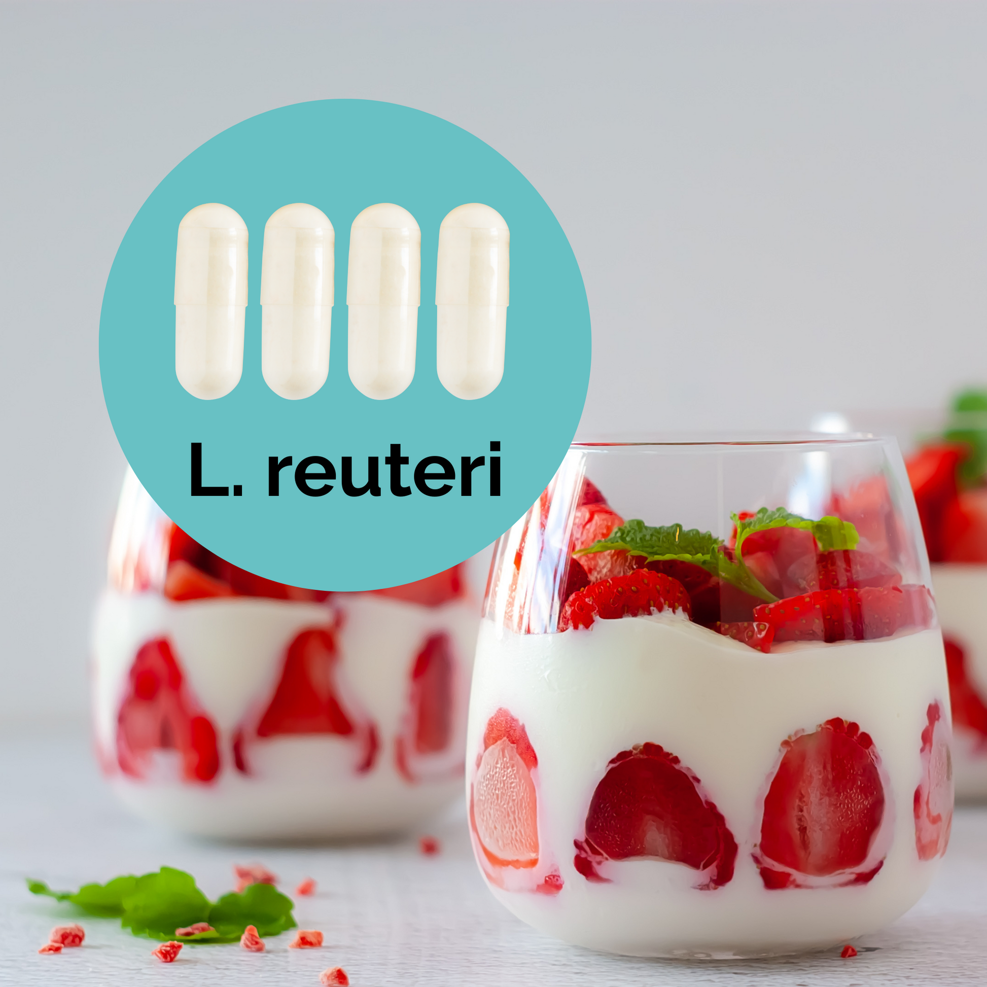 L. reuteri | Yogurt Starter Set | Starter Cultures | 3-Pack