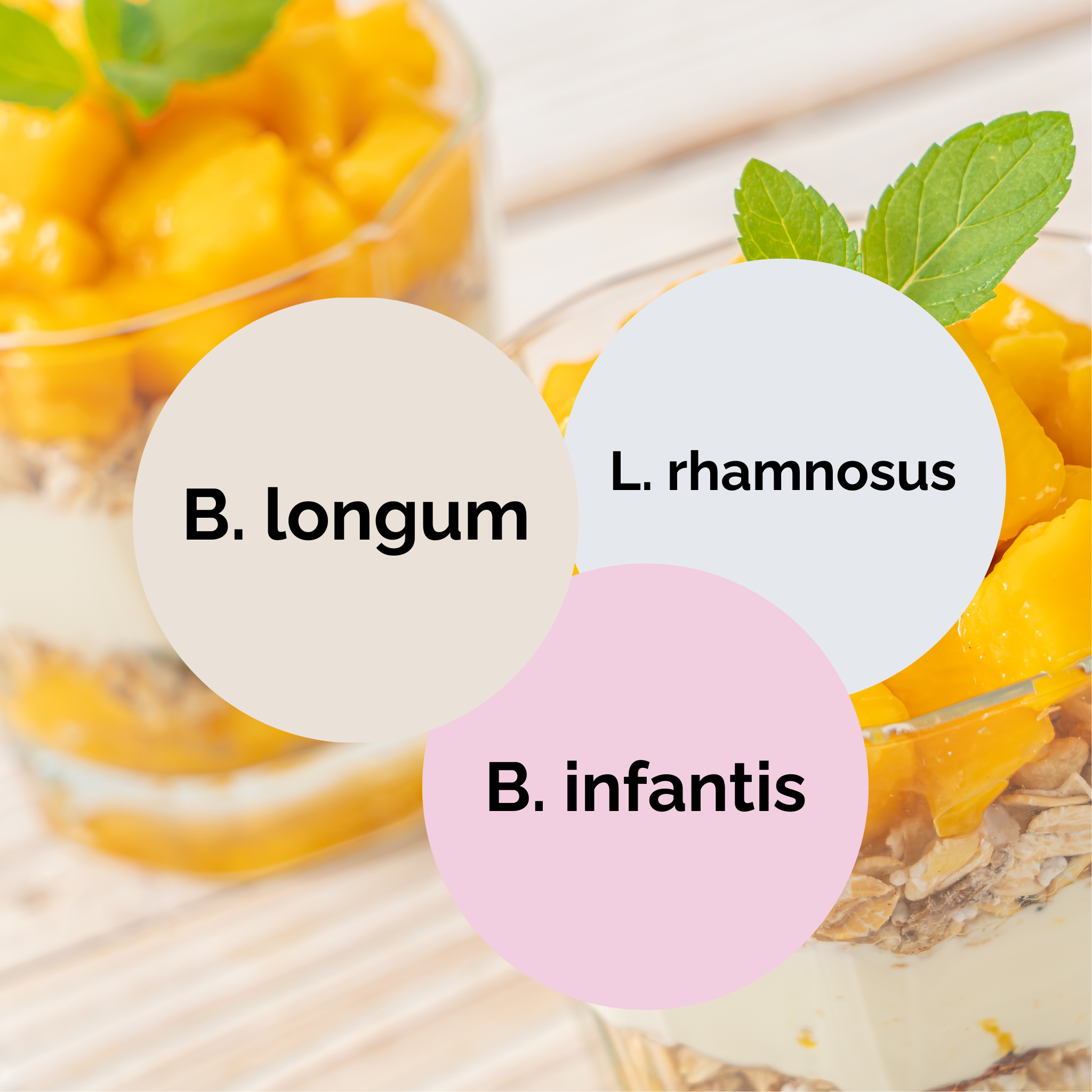 L. rhamnosus + B. infantis + B. longum | Yogurt Starter Set | Starter Cultures | 3-Pack