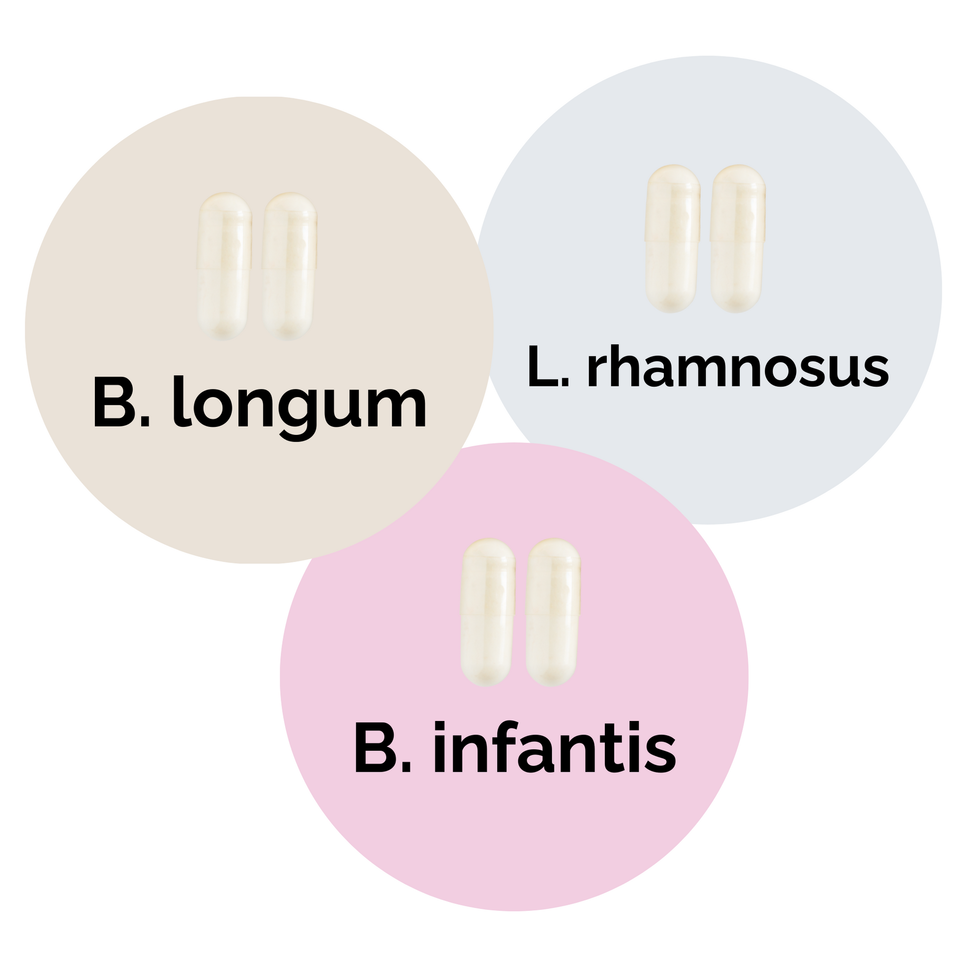L. rhamnosus + B. infantis + B. longum | Yogurt Starter Set | Starter Cultures | 3-Pack
