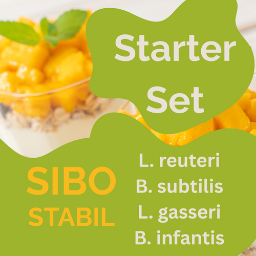 Starter set L. reuteri, B. subtilis, L. gasseri, B. infantis yogurt | Sibostabil