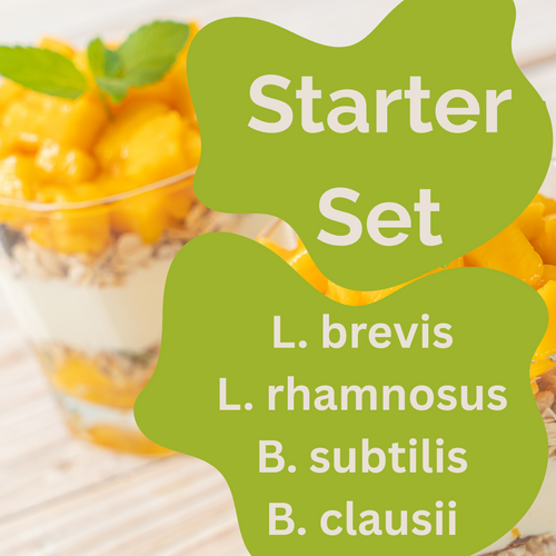 Starter set L. brevis, L. rhamnosus, B. subtilis, B. clausii yogurt | Spore balance