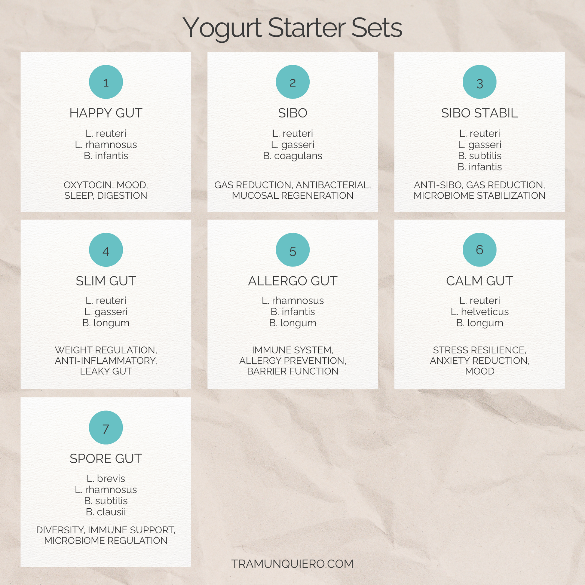Starter Set L. reuteri, L. gasseri, B. coagulans Yogurt | SIBO Yogurt 